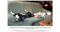 Desktop Screenshot of greyhoundsinneed.net